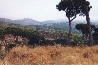 Shouf1s.jpg (10192 bytes)